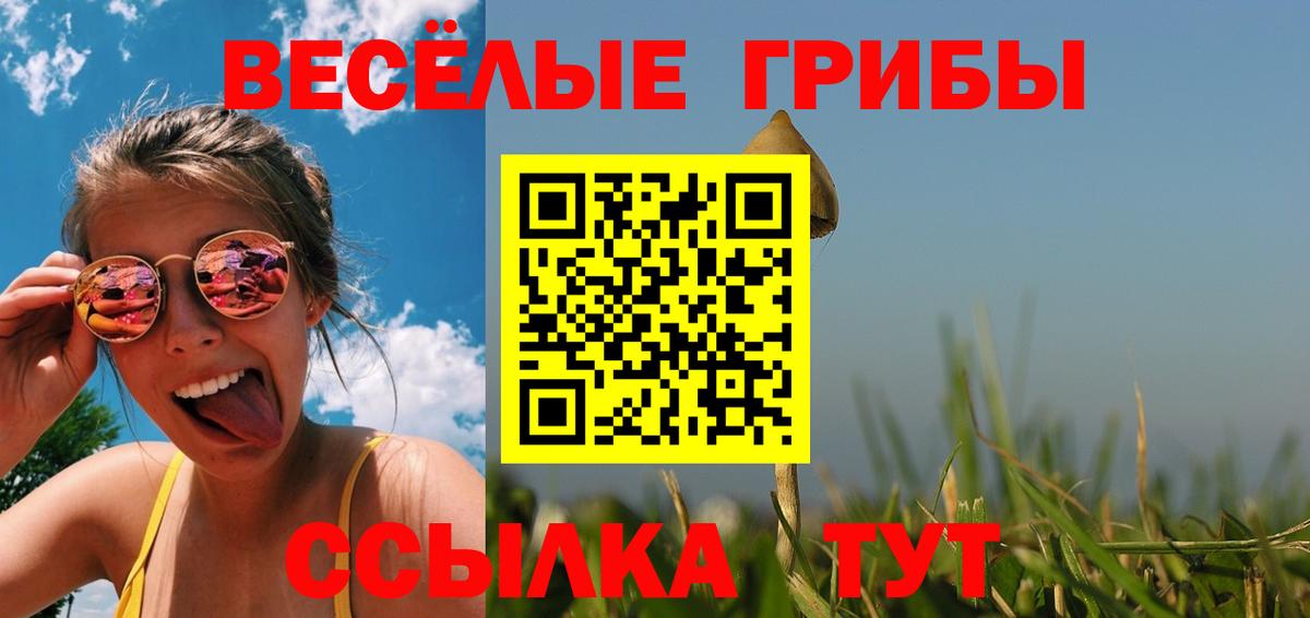 Галлюциногенные грибы MAGIC MUSHROOMS Корсаков